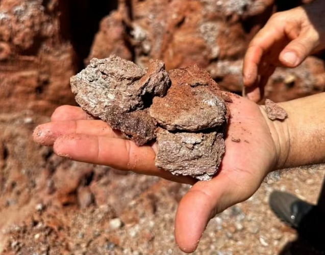 Além de esmeraldas, foram encontrados outros minerais como rutilo (óxido de titânio), zircão (zirconita), sodalita, quartzo — Foto: Divulgação/Ameto/G1