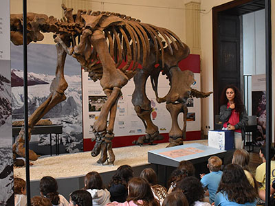 De férias no Museu